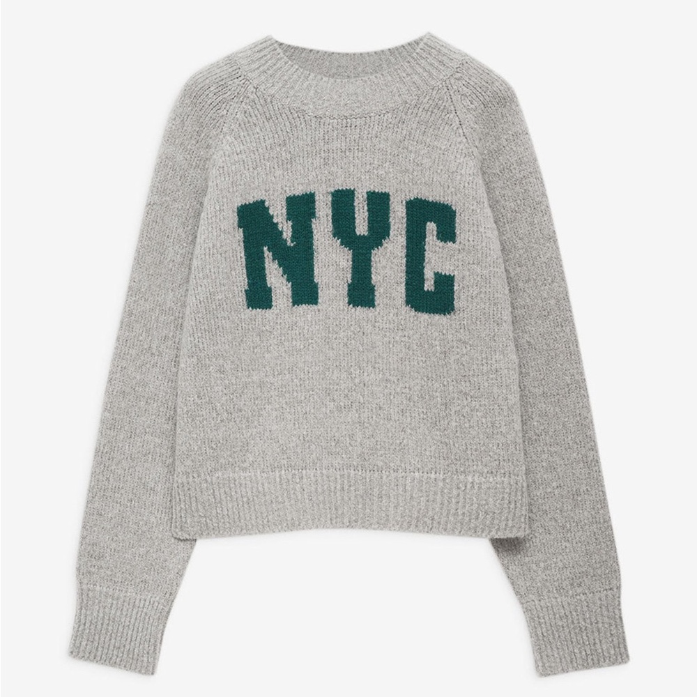ISO: Anine Bing ‘NYC’ sweater size large